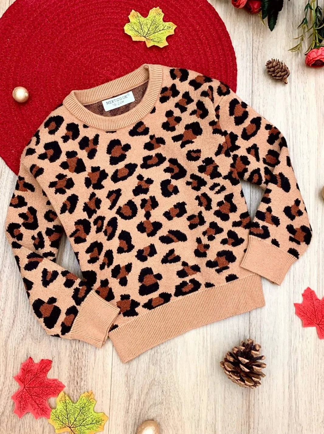 Leopard Print Plush Fuzzy Sweater