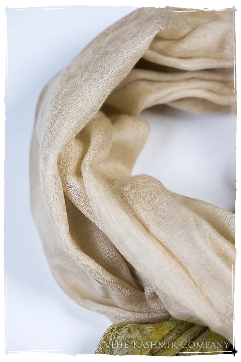 Rossella Paisley Frontière Pashmina Cashmere Scarf