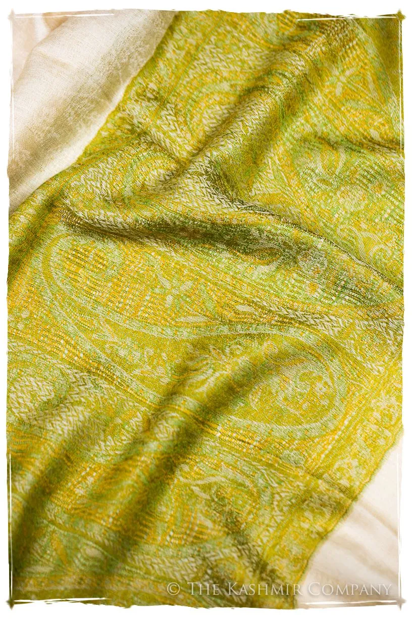 Rossella Paisley Frontière Pashmina Cashmere Scarf