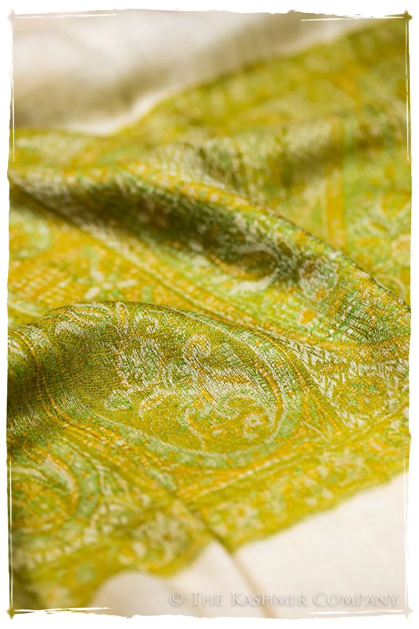 Rossella Paisley Frontière Pashmina Cashmere Scarf