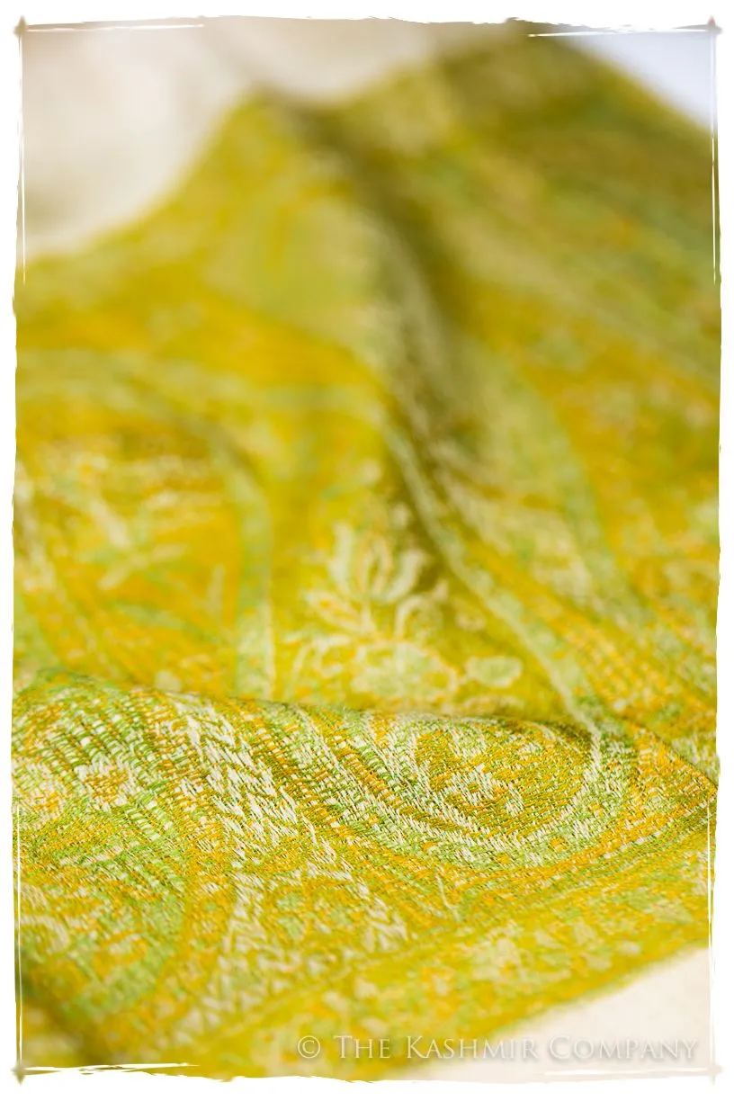 Rossella Paisley Frontière Pashmina Cashmere Scarf