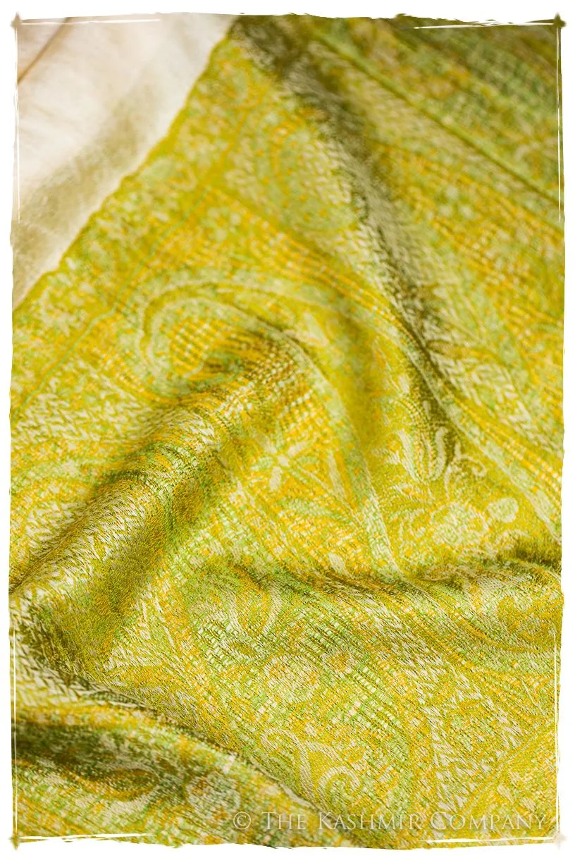 Rossella Paisley Frontière Pashmina Cashmere Scarf