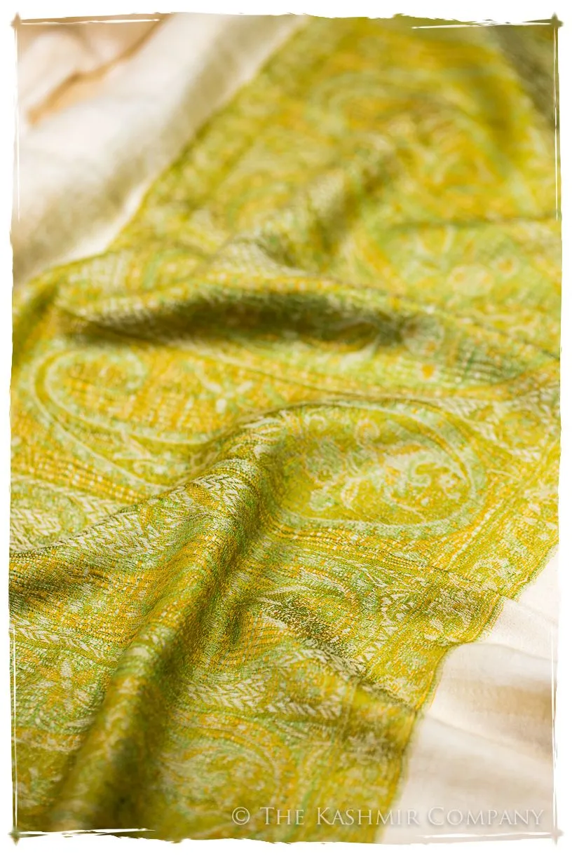 Rossella Paisley Frontière Pashmina Cashmere Scarf