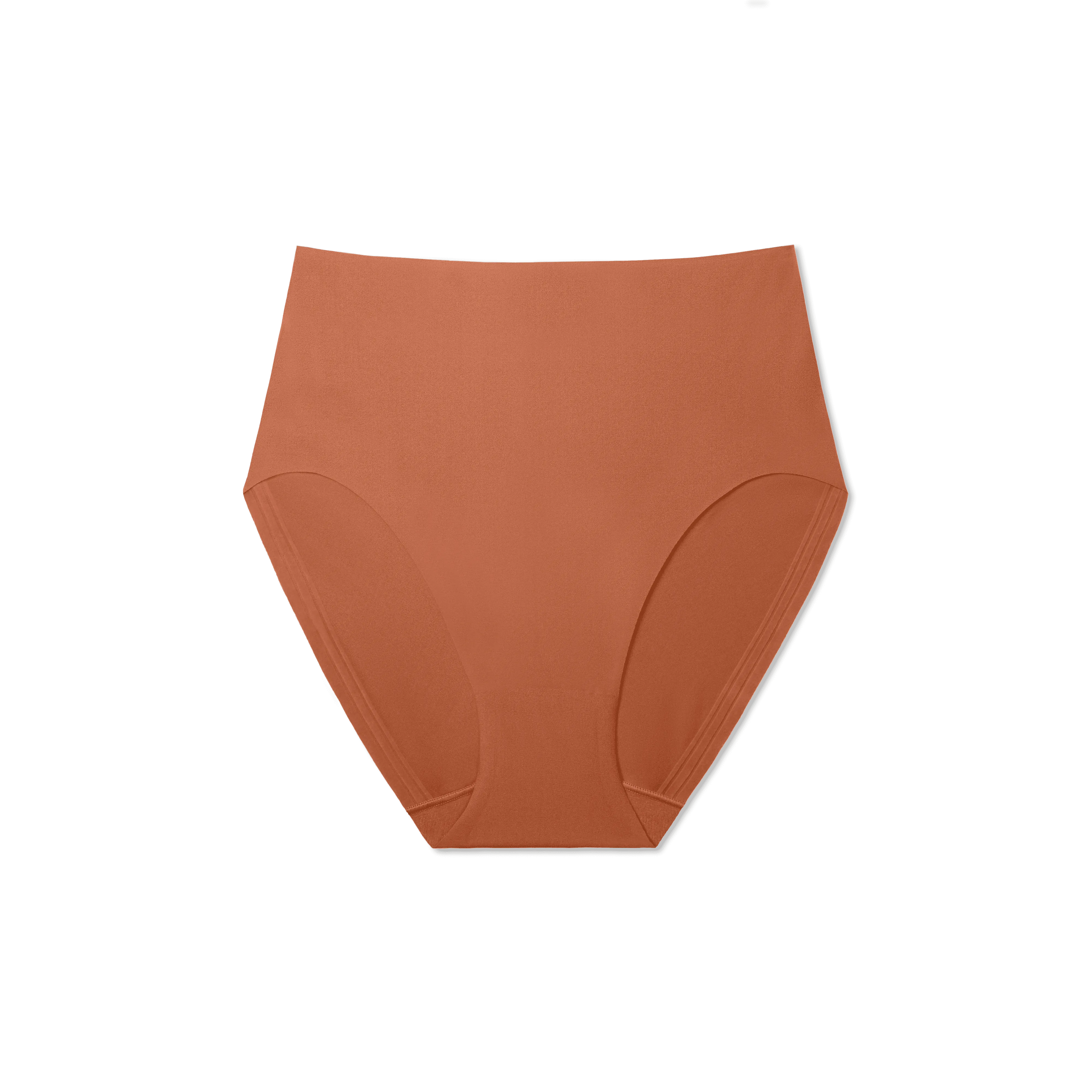 Women's No Show High Rise Brief